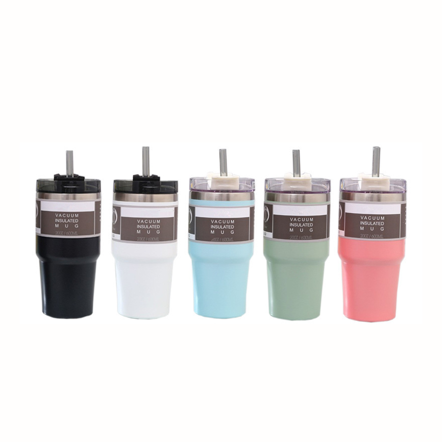 Tumbler with Lid & Straw 600ml

